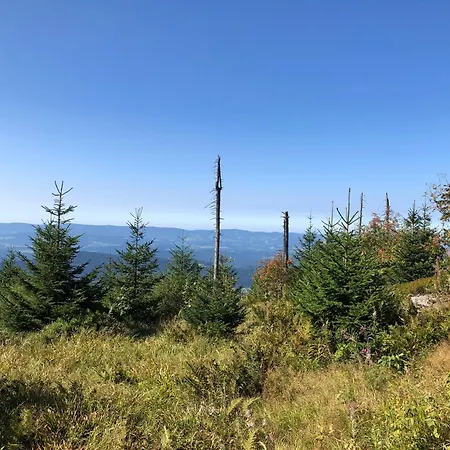 Sabolowitsch Apartman Lam